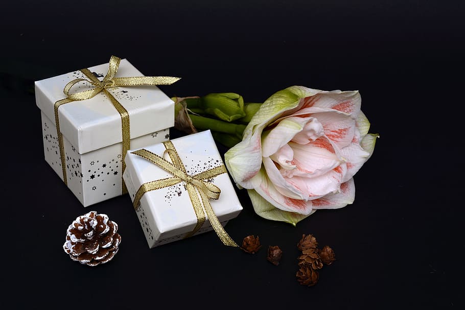 branco, rosa, caixas de presente douradas, flor, presente de natal, feito, presente, surpresa, moagem, embalado