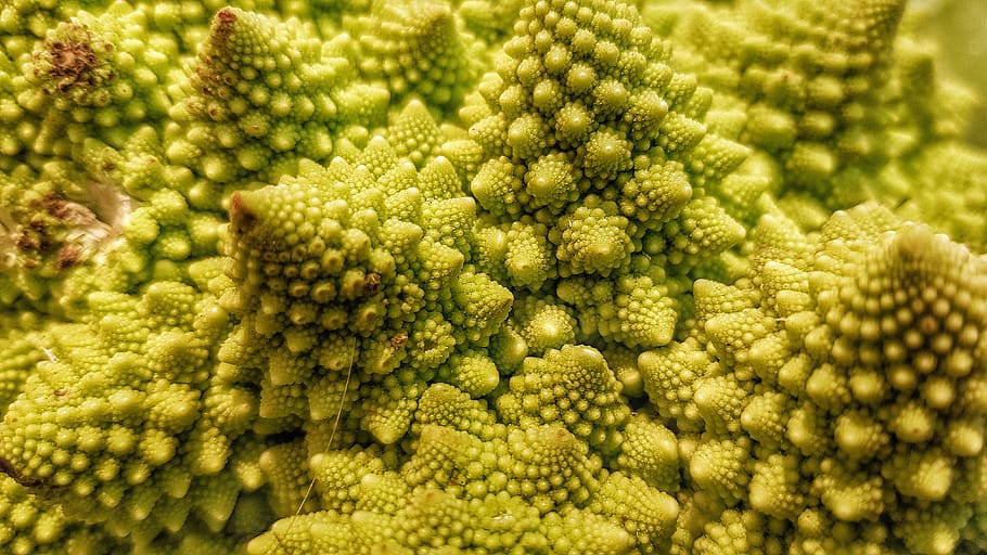 romanesco, vegetable, bless you, green, pattern, rare, macro, food and drink, food, healthy eating