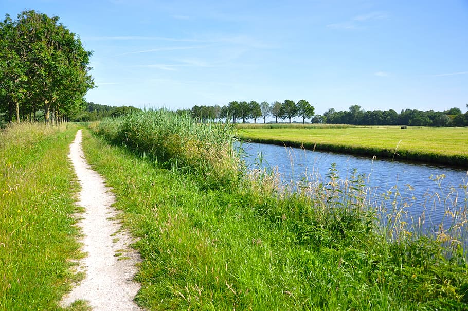 water, path, track, dirt track, waterway, canal, field, grass, trees, scenery