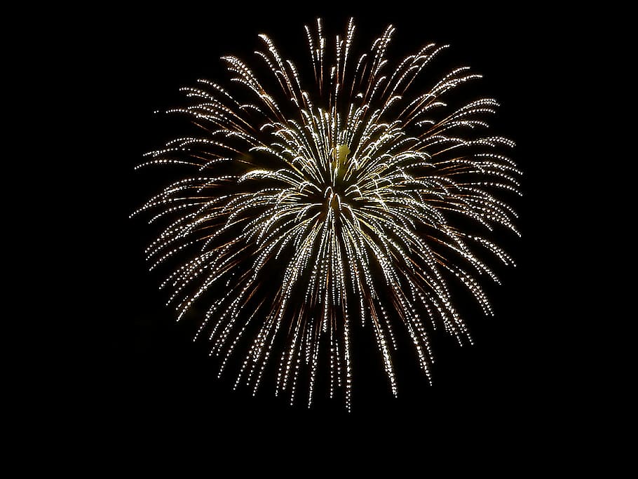 fireworks, Fireworks, Night, Night, Light, night, light, celebration, exploding, firework Display, firework - Man Made Object, black Color
