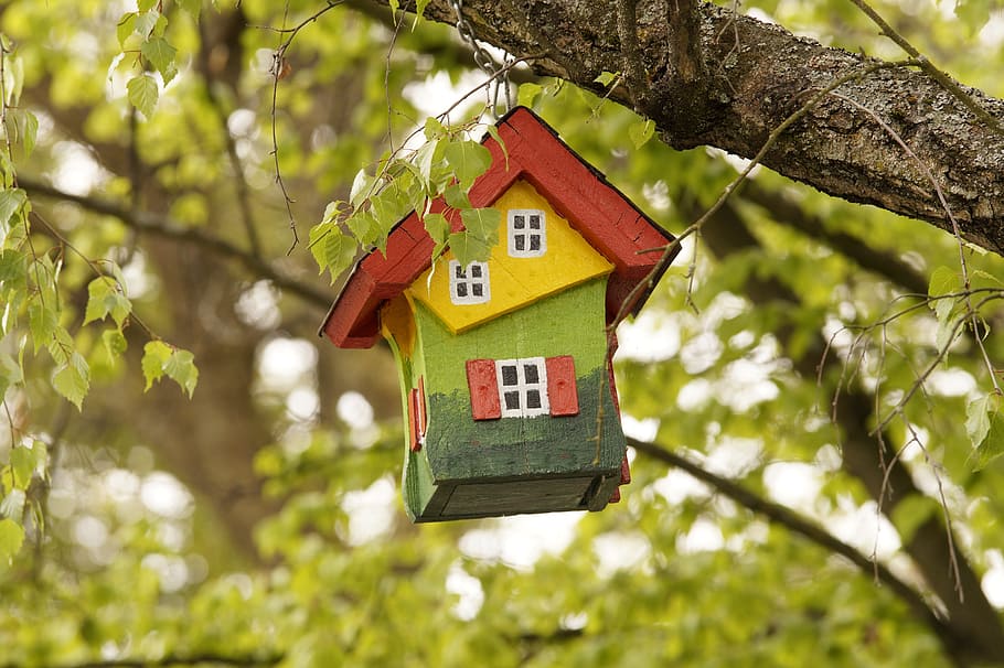 黄色, 赤, 緑, 木造, 巣箱, ぶら下げ, 木, 自然, 鳥の餌箱, 家