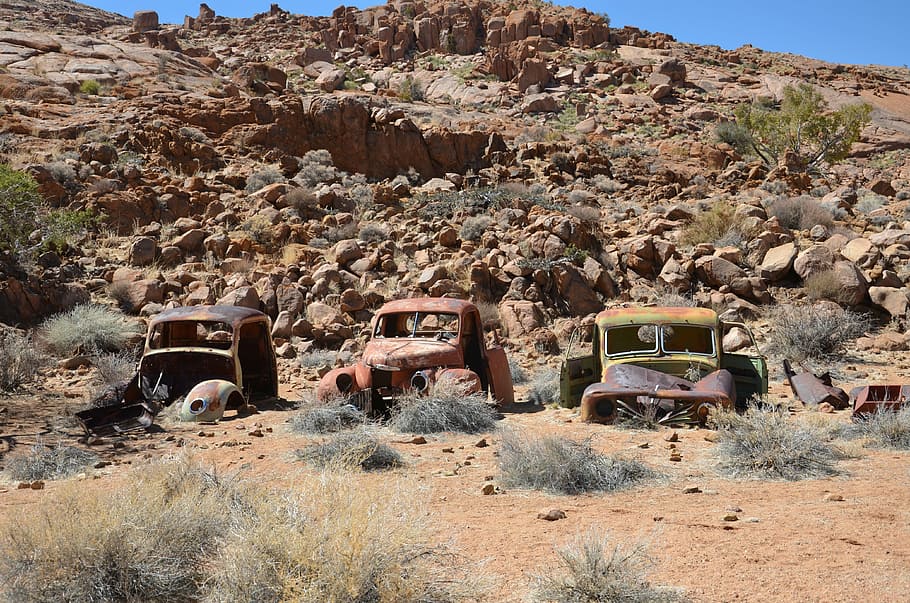 namibia, africa, wagon, safari, wildlife, dare, dry, drought, old cars, stainless