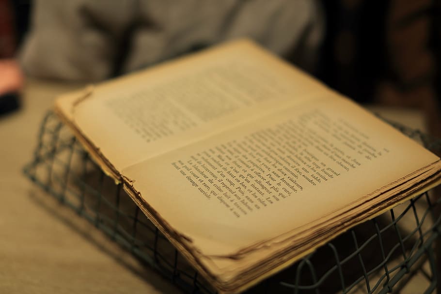 selective, focus photography, opened, book, old, pages, sheets, letters, novel, brown