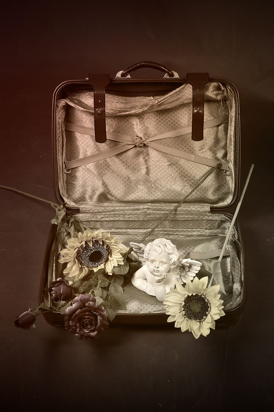 old, vintage, ornament, retro, luggage, treasure, box, flower, flowering plant, plant