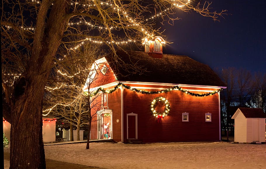 点灯, 赤, 家, 葉のない木, クリスマスハウス, 夜, クリスマスライト, 赤い家, 町, お祝い