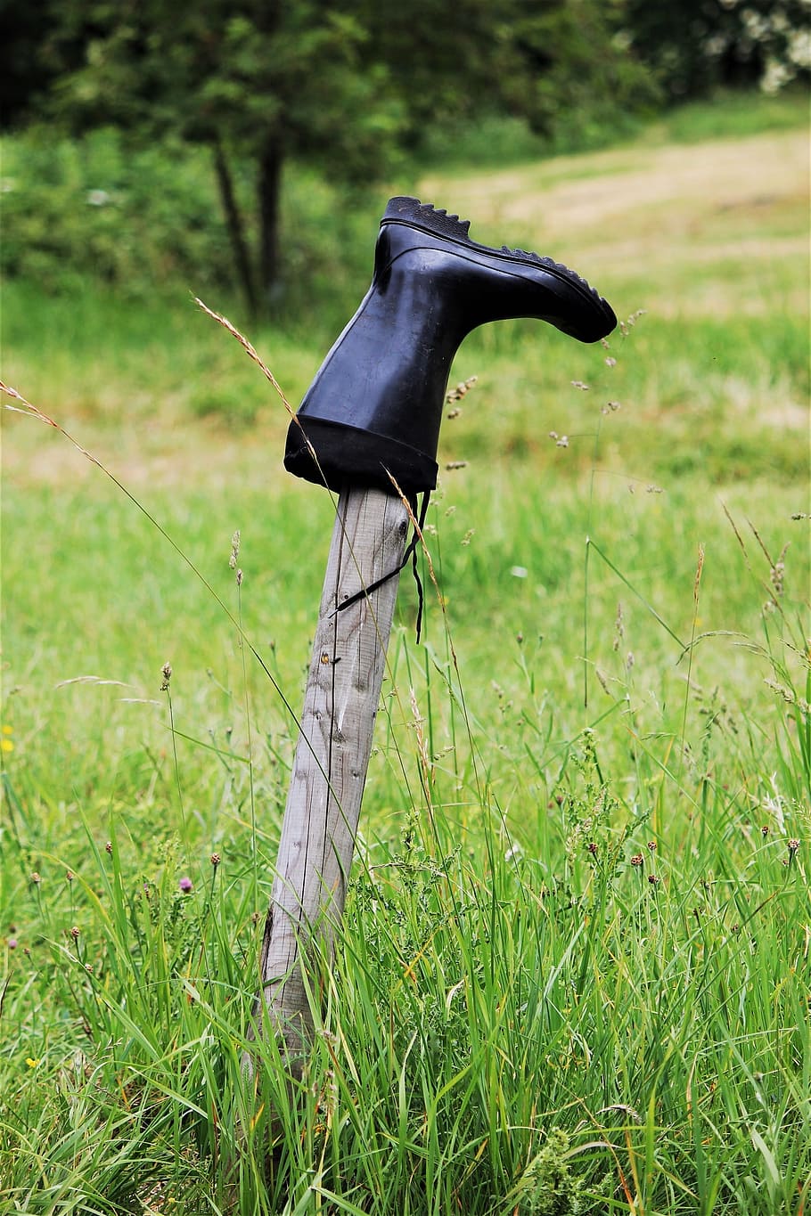 Rubber Boots, Boots, Boots, Shoes, Nature, boots, lost, willow stake, meadow, outdoor, dry