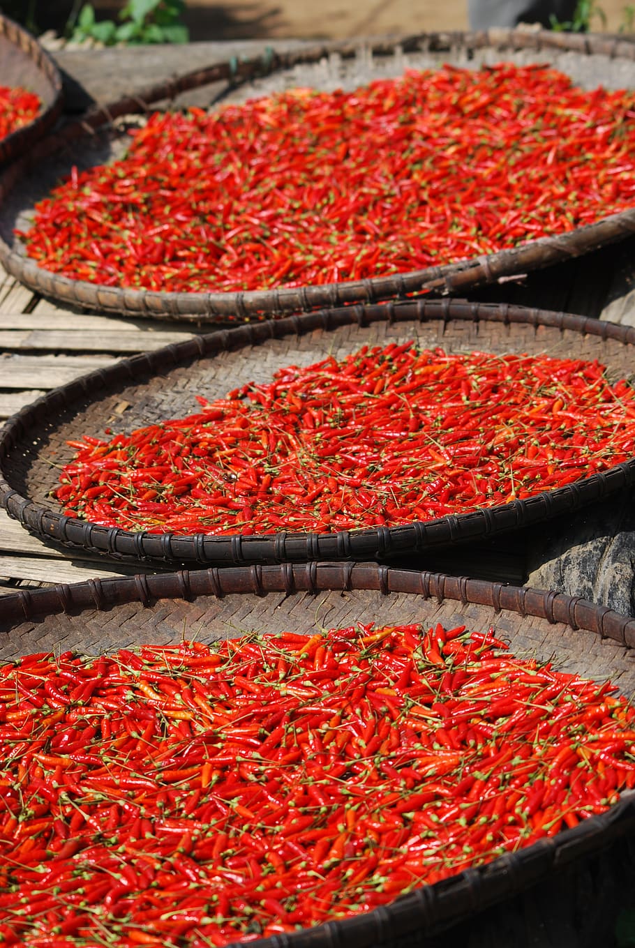 fresh chilli, red, dried chilli, baskets, three, ingredients, hot chilli, spices, red and green, food and drink