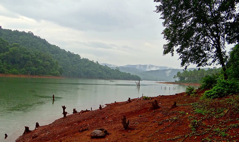 Kali River, Western Ghats, Forests, india, landscape, wilderness, scenery, natural, wild, outdoor