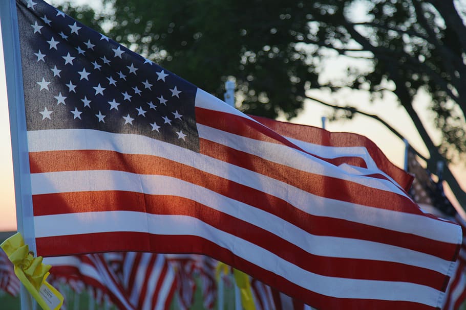 shallow, focus photography, flag, usa, hanged, pole, memorial day, america, red white blue, patriotic