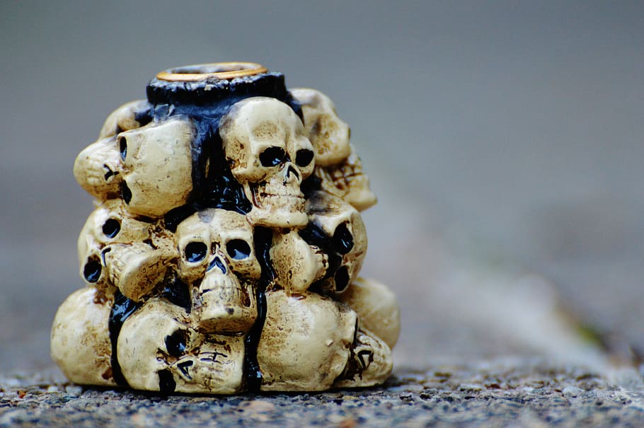 cráneo y tibias cruzadas, escalofriante, halloween, cráneo, hueso del cráneo, extraño, aterrador, hueso, muerte, horror