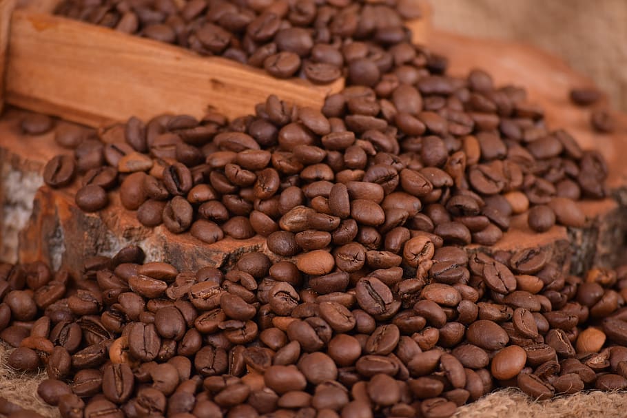 kopi, kafein, benih, kacang, minum, espreso, gelap, moka, Arabika, Epikur