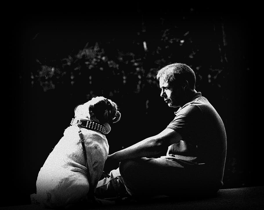 grayscale photo, sitting, man, holding, bulldog, grayscale, friendship, pet, trust, master