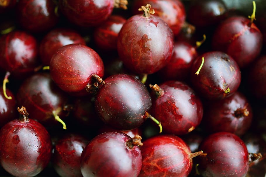 close-up photo, red, berries, gooseberries, red gooseberries, fruits, fruit, vitamins, frisch, healthy