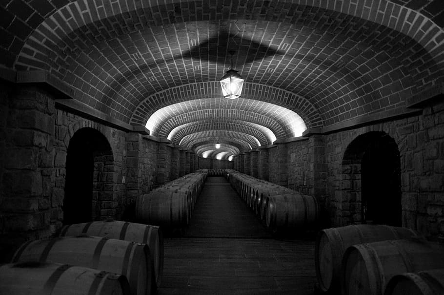 tunnel hallway, botti, ceiling, lights, cellar, wine, black and white, ancient, tuscany, italy