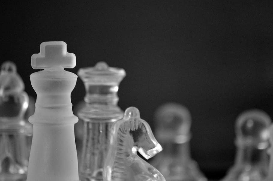 clear, glass horse chess piece, king, glass, chess, pieces, game, chessboard, board, planning
