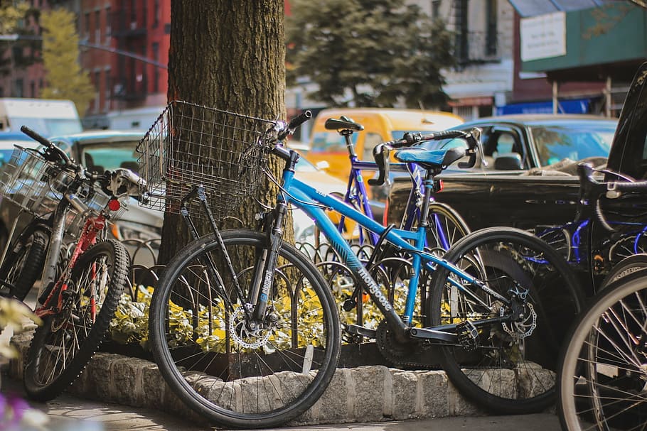 blue bicycle lot, bike, bicycle, parking, outside, tree, plant, vehicle, transportation, mode of transportation