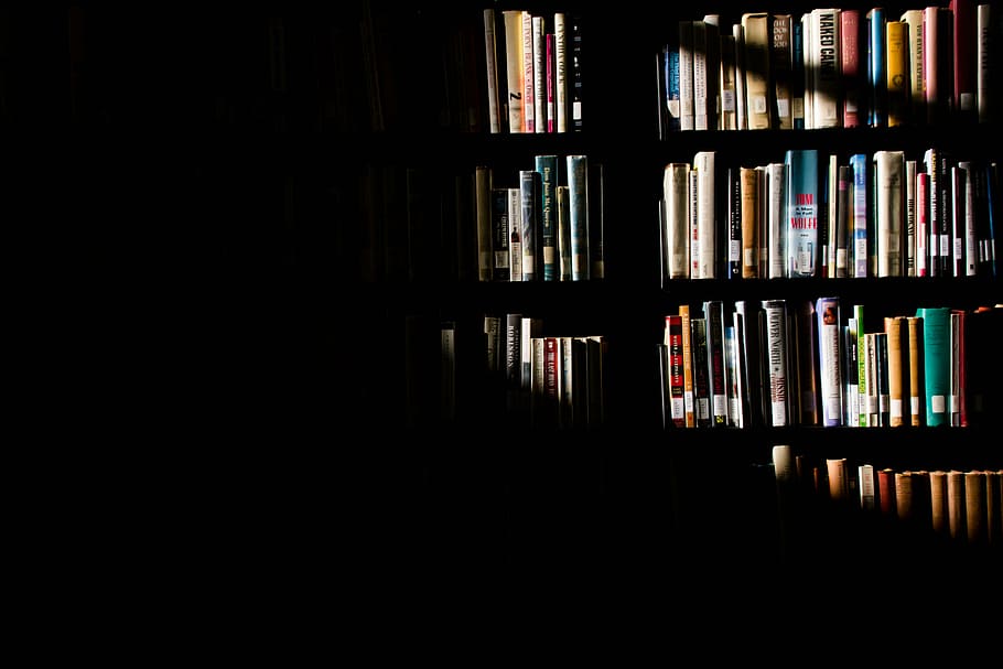 buku di rak, sinar matahari, rak, buku, perpustakaan, bayangan, rak buku, literatur, di dalam ruangan, toko buku