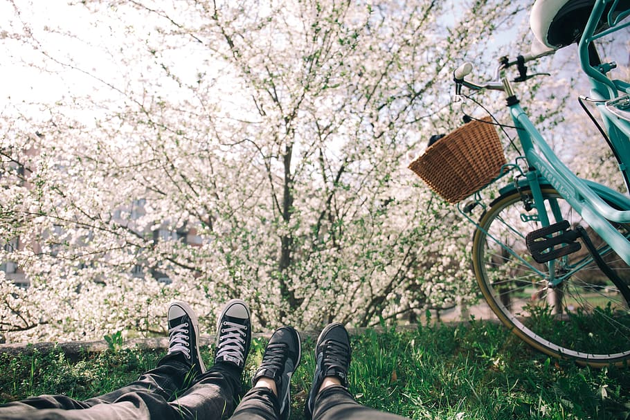 shoes, sneakers, feet, grass, lawn, lying down, bicycle, basket, trees, leaves