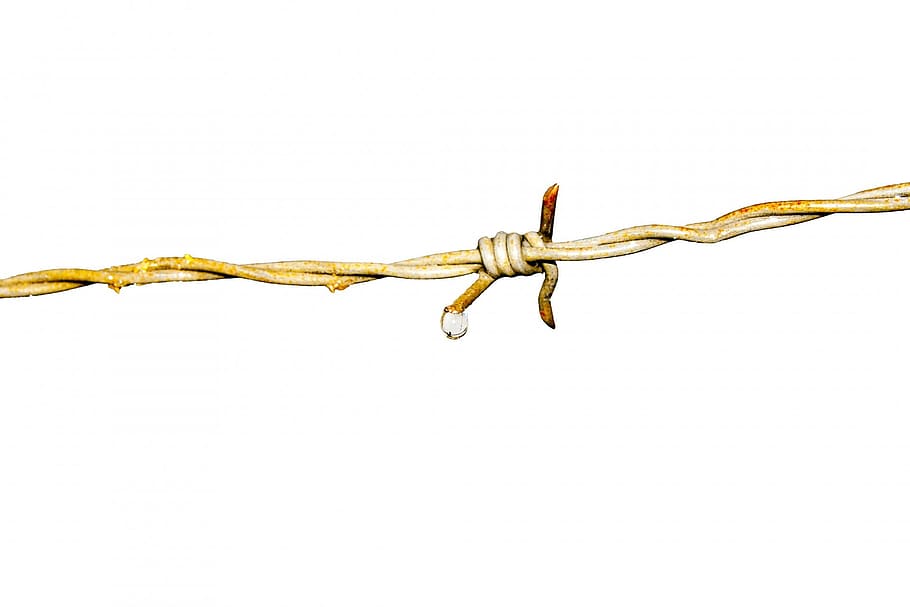 brown, barb wire illustration, barbed wire, iron, skewer, rust, wire, fence, security, protection