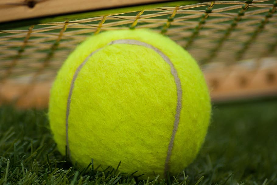 verde, bola de tênis, grama, raquete, tênis, esporte, bola, close-up, tribunal de justiça, ninguém