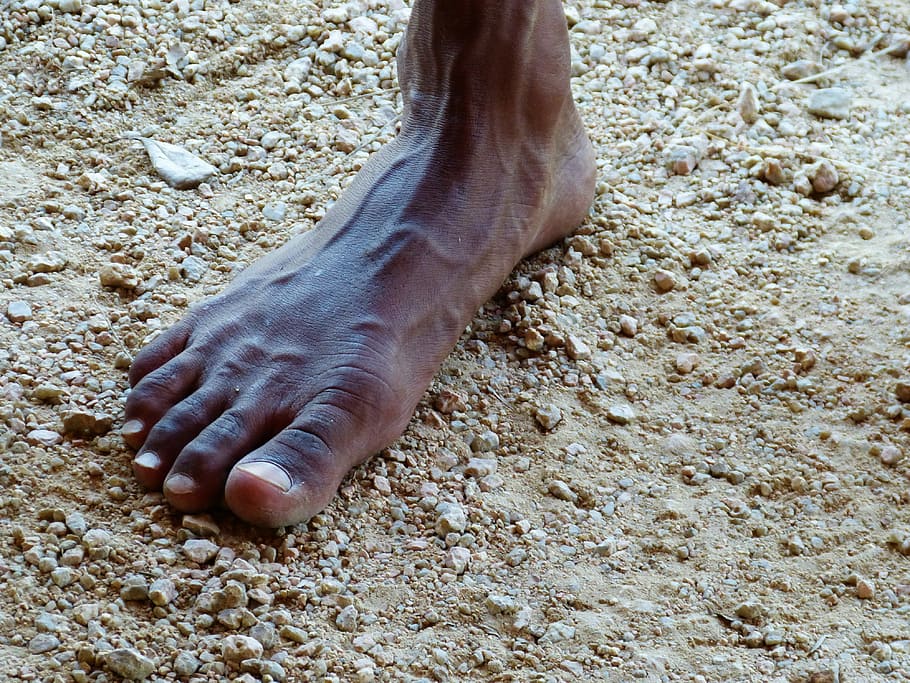persona descalza, pie, descalzo, aborígenes, diez, marrón, hombre, soporte, guijarro, tierra
