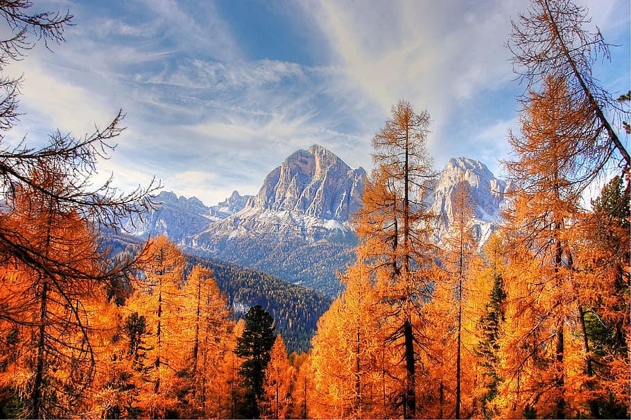 orange, leafed, trees, clear, sky, dolomites, mountains, italy, alpine, view
