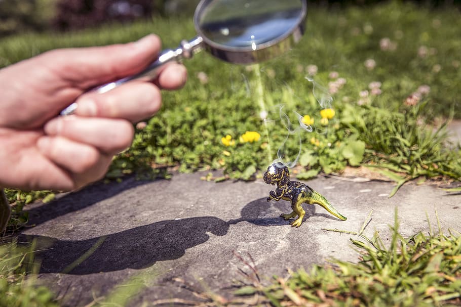 person, holding, magnifying, glass, whimsical, objects, lazy, dinosaur, hand, reflect