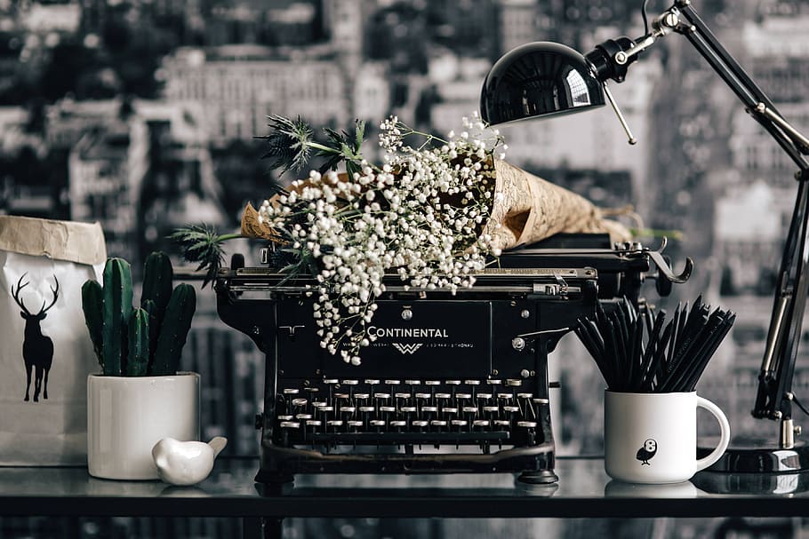 vendimia, teclado, máquina de escribir, antiguo, retro, escritor, acrílico, negro, Flor, planta floreciendo