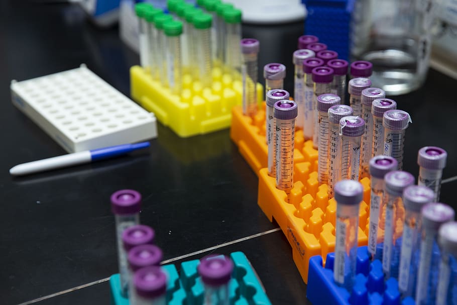 tubos de ensayo coloridos, botellas, vidrio, ciencia, laboratorio, calidad del agua, pruebas, análisis, close-up, indoor