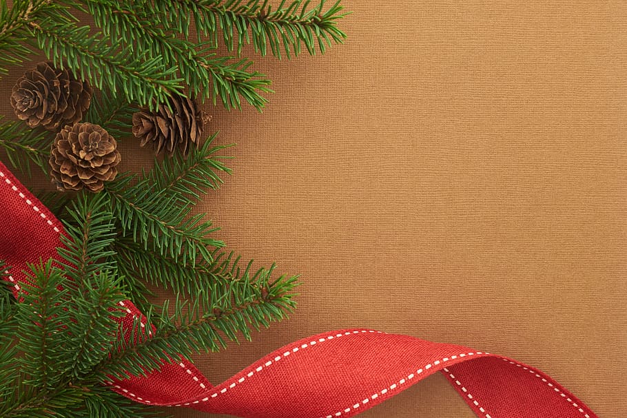 seasonal, backgrounds, christmas, flat lay, ribbon, pine, tree, branches, festive, cone