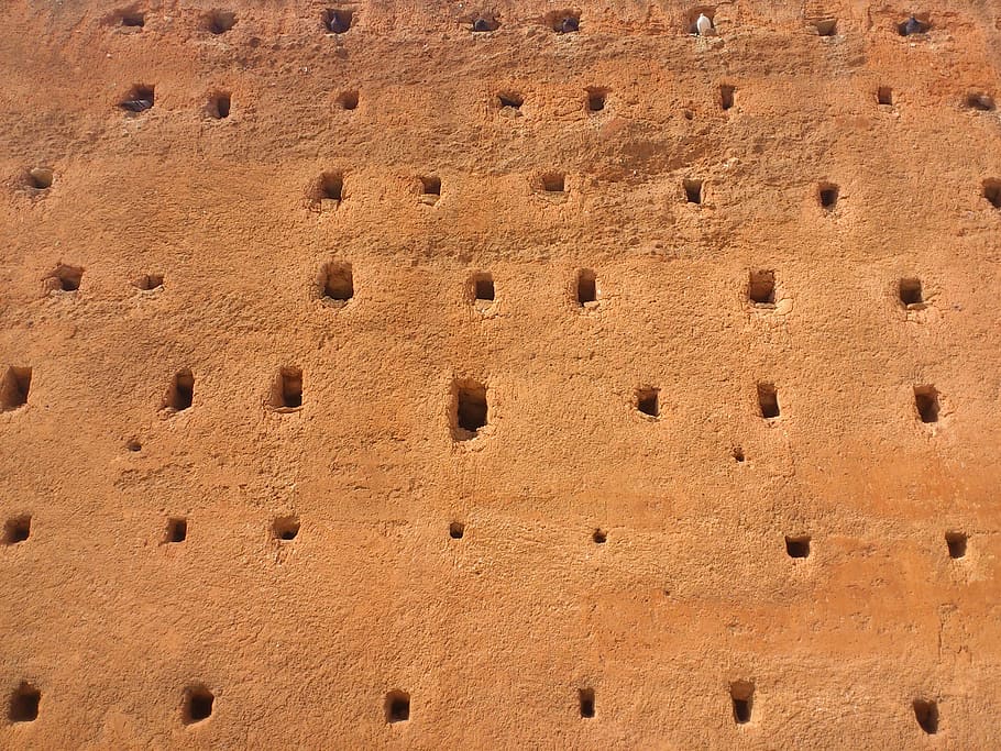 wall, sand, white dove, black dove, bird, birdhouse, birds, orange wall, morocco, full frame