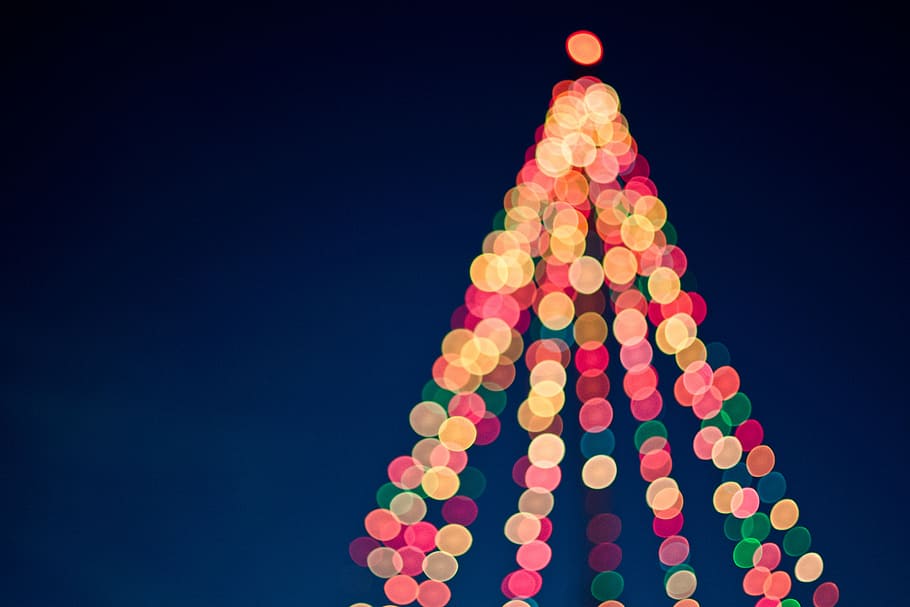 assorted-color string lights, pre, lit, tree, lights, christmas, dark, lighting, bokeh, christmas tree