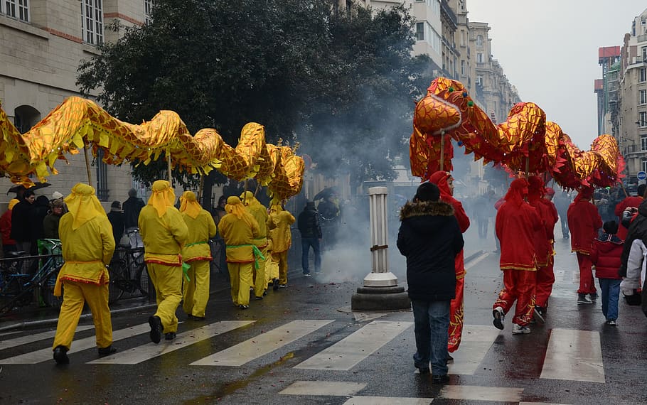 group, people, carrying, dancing dragon, paris, france, chinese new year, celebration, city, cities
