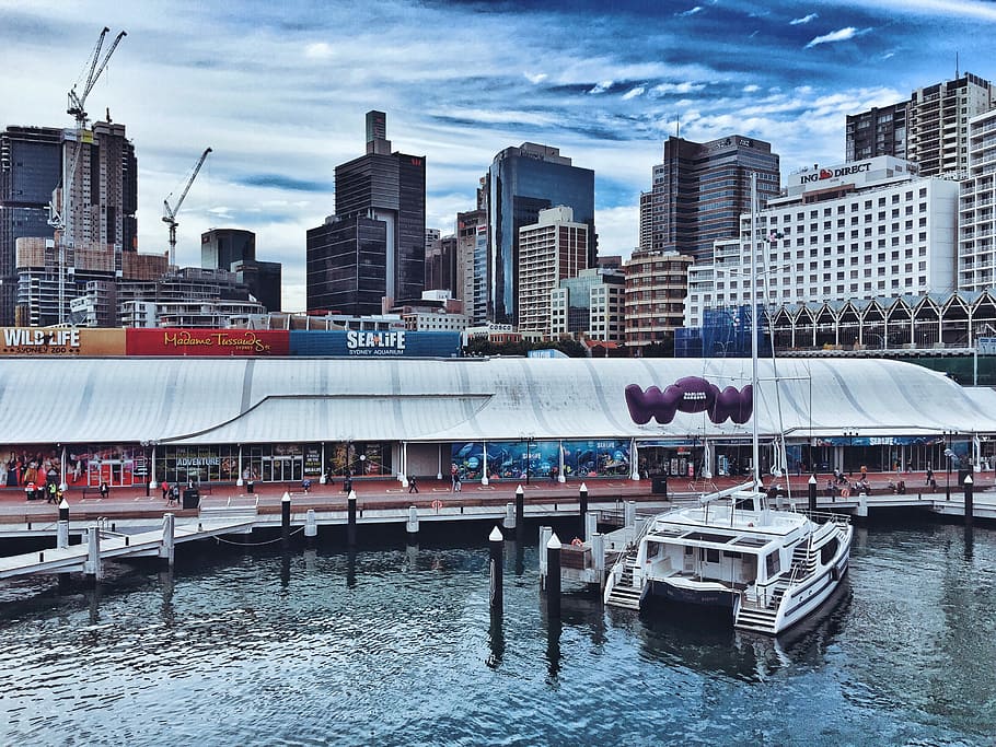 Darling Harbour, Australia, harbour, sydney, water, boat, buildings, urban, ferry, wow