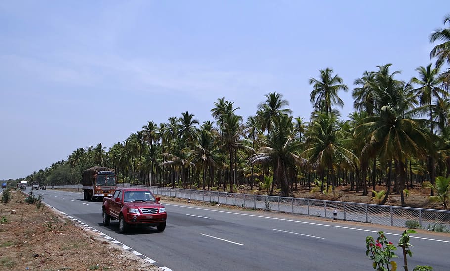 rodovia, tráfego, rua, estrada, ah- 47, asia karnataka, índia, transporte, palmeira, árvore
