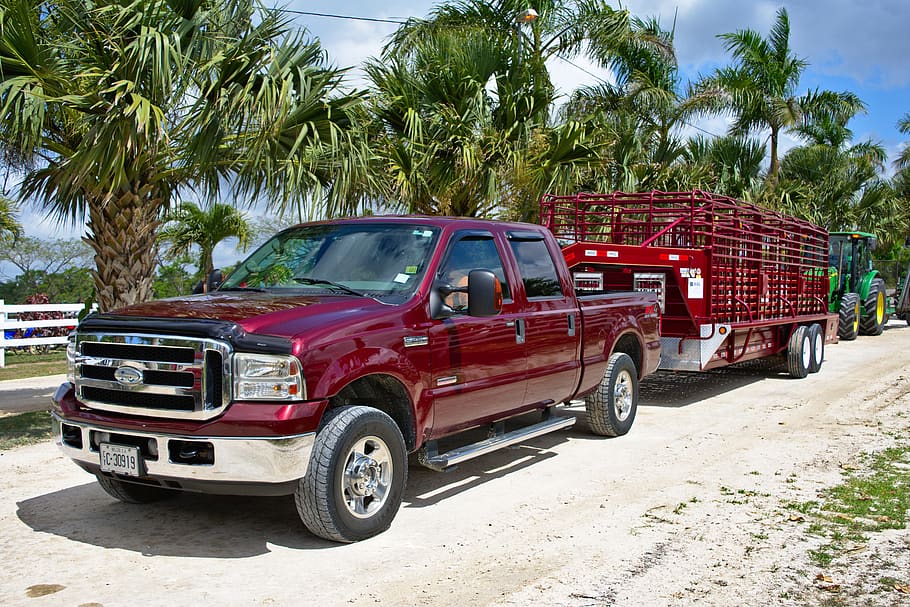 pickup, vehicle, truck, ford, red, trailer, cattle trailer, pull, haul, country road