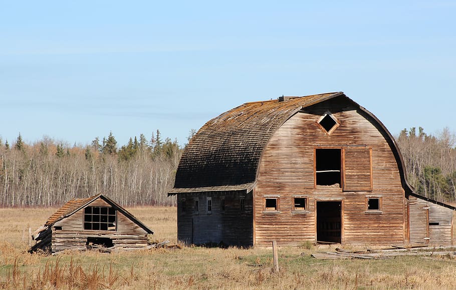landscape, barn, building, old, wooden, abandoned, built structure, architecture, building exterior, run-down