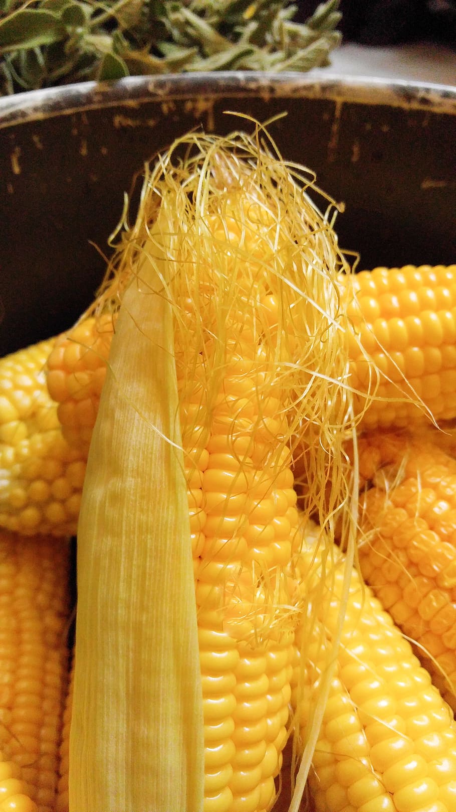 maíz, avellana, comida, mazorca de maíz, paja, oro, cereal, amarillo, comida y bebida, alimentos