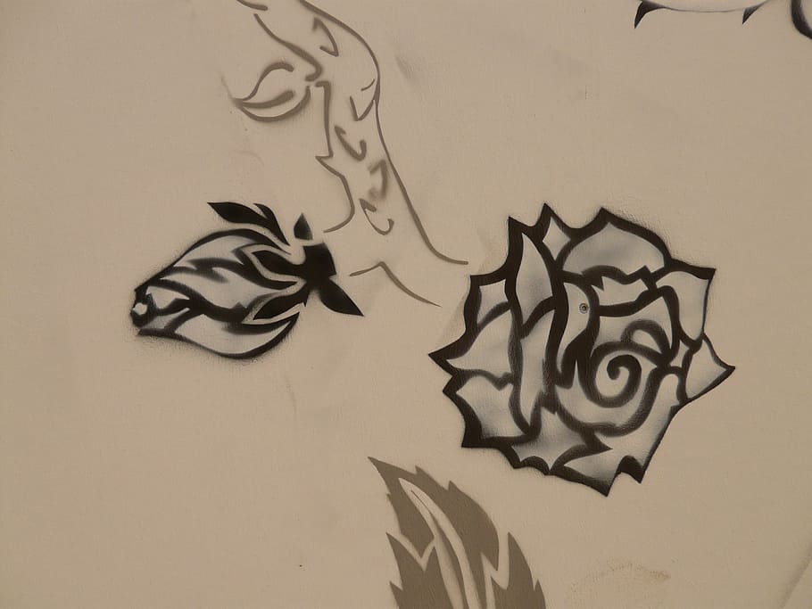 two, black, roses sketch, rose, drawing, painting, animal, graffiti, paint, artwork