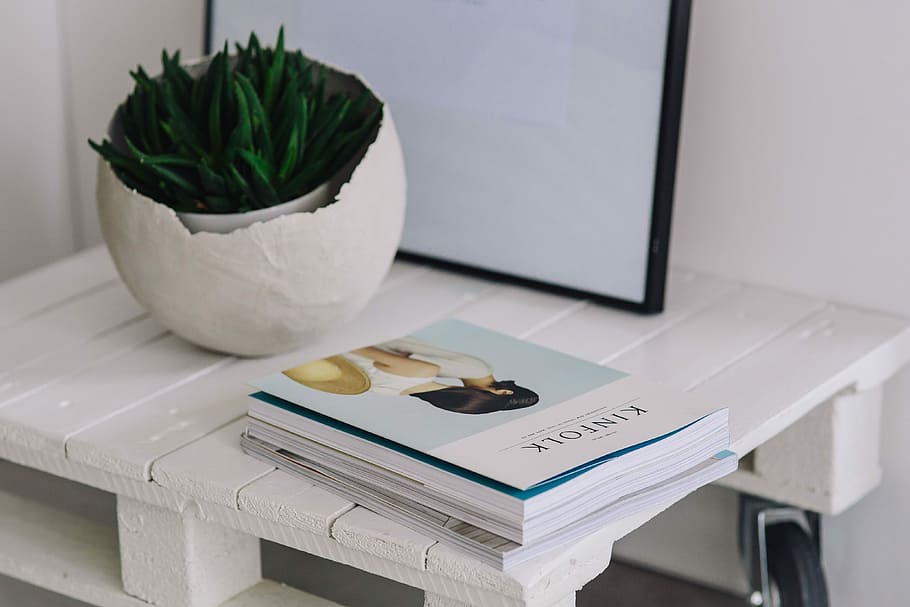 green, plant, magazines, Green plant, white, magazine, journal, business, indoors, no People