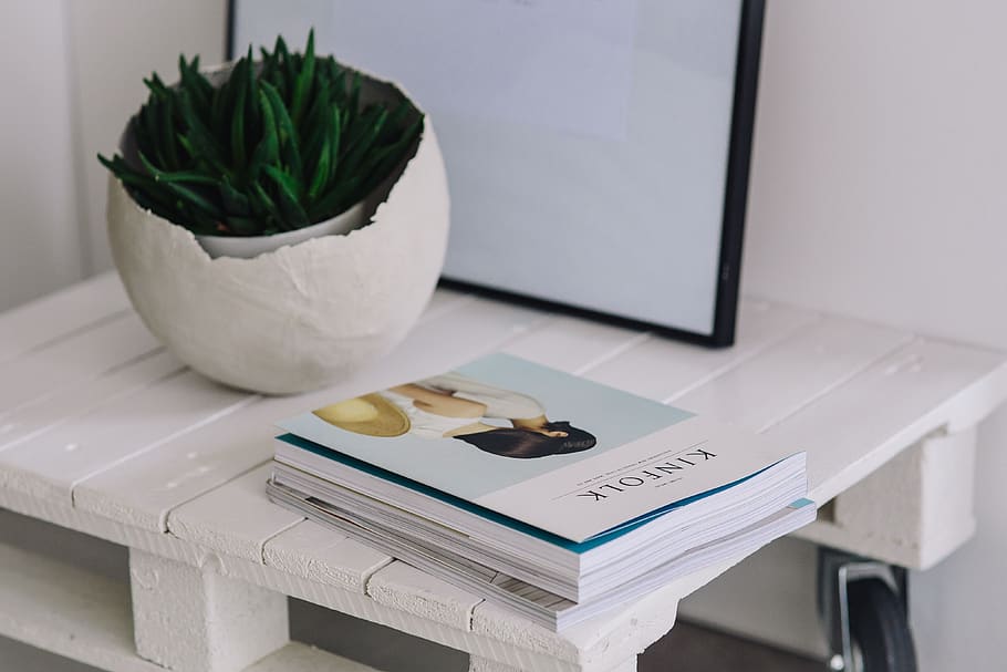 white, magazine, plant, journal, Green, magazines, table, indoors, book, paper