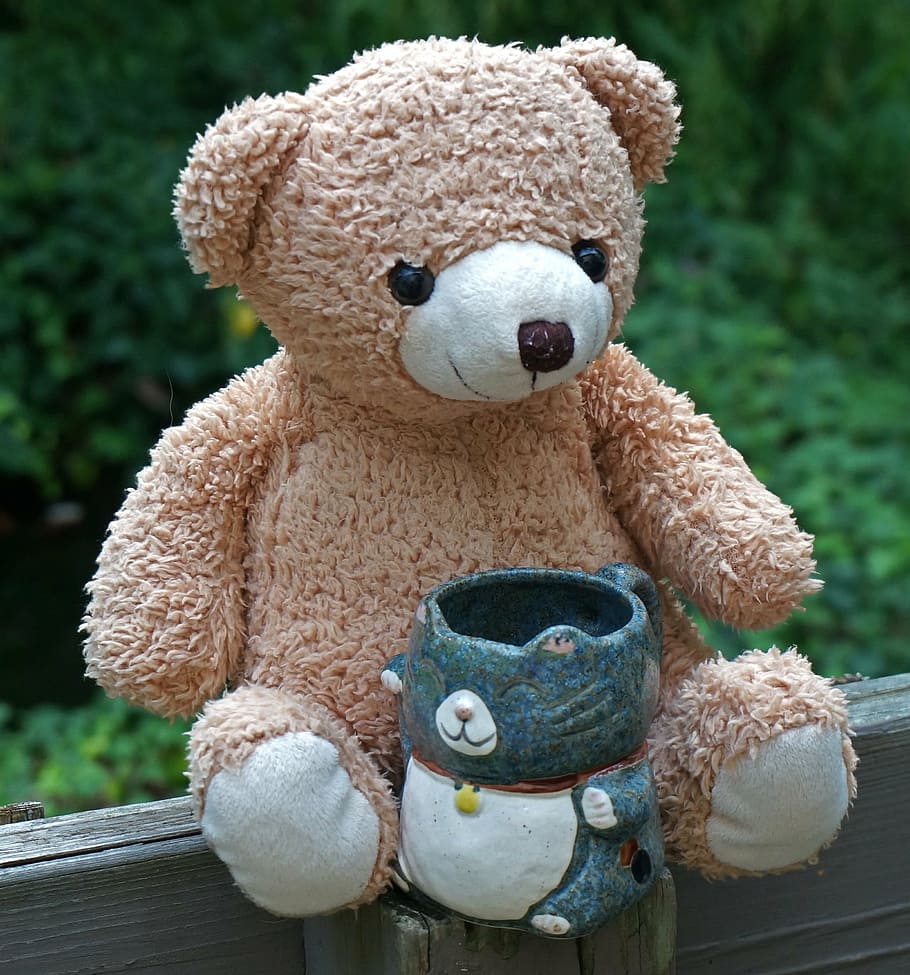old teddy bear with mug, teddy bear, toy, stuffed animal, mug, kitty mug, cute, handmade, craft, handicraft