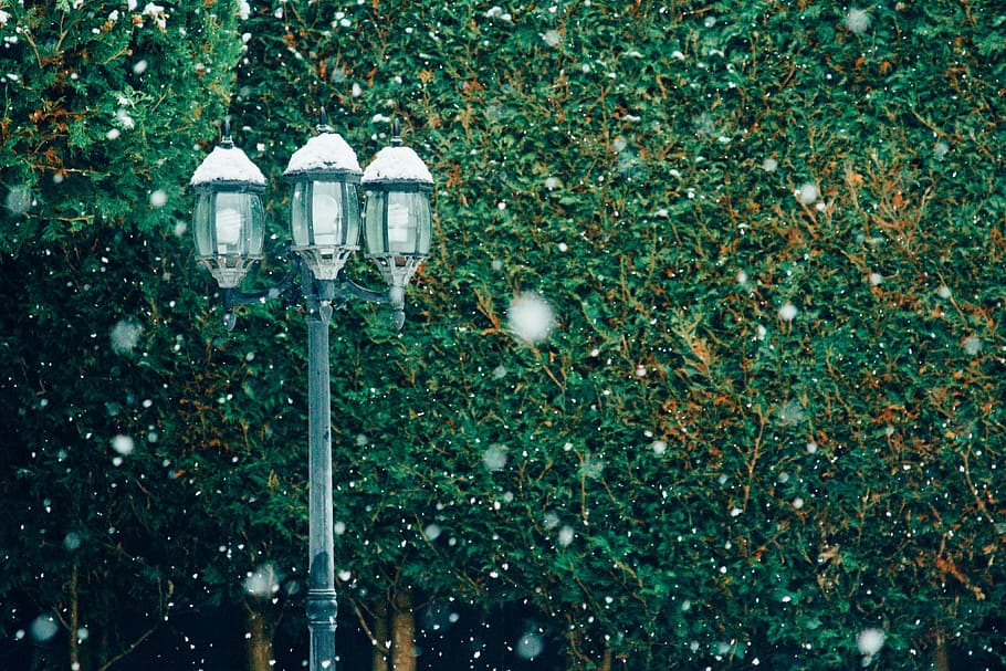lámpara, copos de nieve, selectivo, foco, fotografía, poste, nieve, copos, verde, hoja
