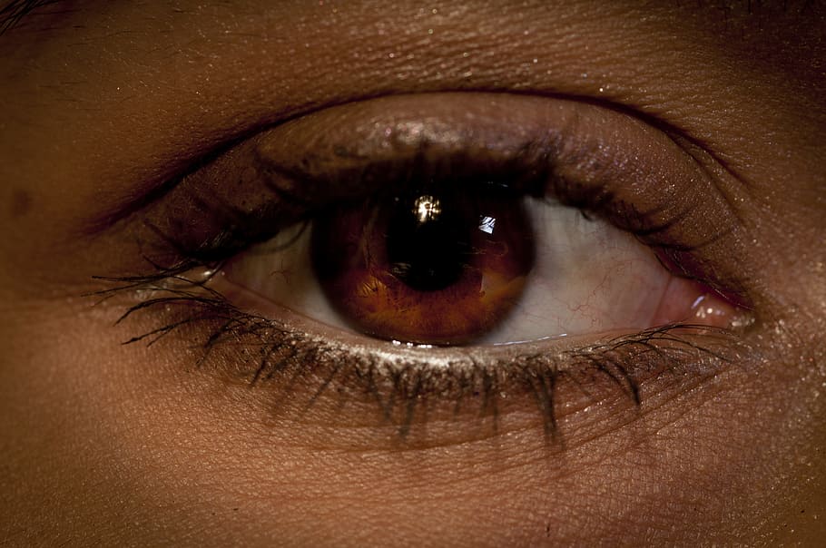 person's eye, Eye, Eyeball, Close Up, Vision, Eyesight, human, white, macro, iris