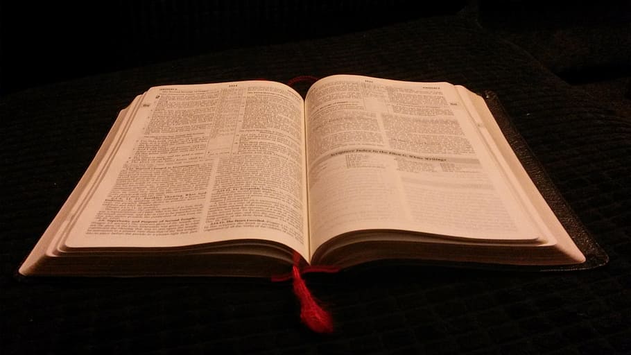 open hardbound book, open, hardbound book, bible, god, religion, christianity, faith, book, holy