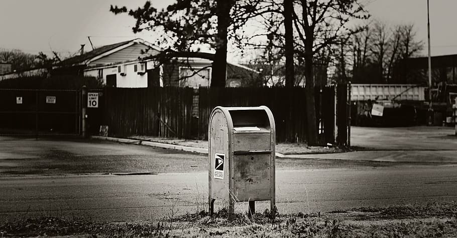 mailbox, urban, black and white, mail, outdoors, postal, letterbox, postbox, street, tree