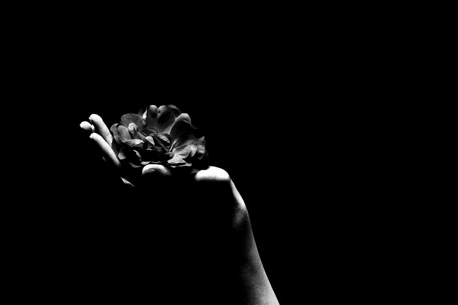 sad, nostalgic, mourning, hand, flower, loneliness, human, missing, miss, person