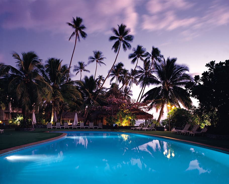al aire libre, piscina, árboles, noche, piscina al aire libre, palmeras, resort, tropical, vacaciones, ocio