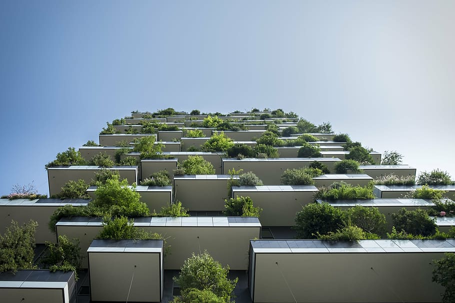 high-angle photography, building, green, plant lot, balconies, patio plants, looking up, pattern, apartments, architecture