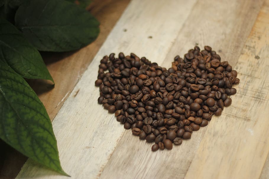 coffee, coffee beans, aroma, roasted, beans, espresso, cappuccino, mug, caffeine, coffee on hand
